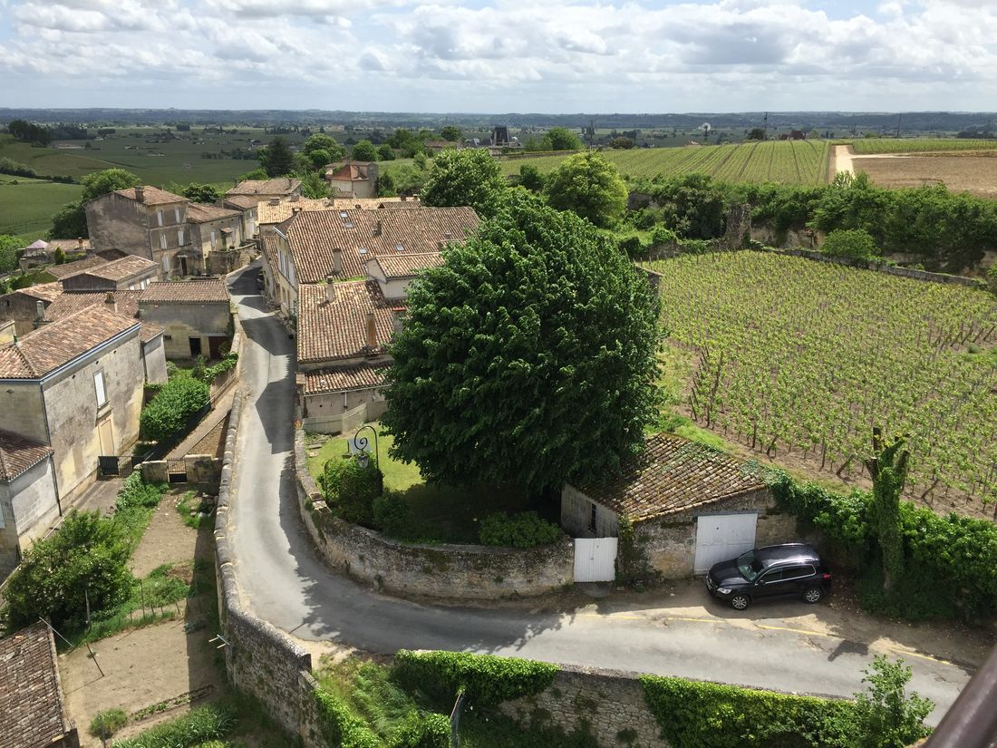 Exkursion nach Saint-Emilion
